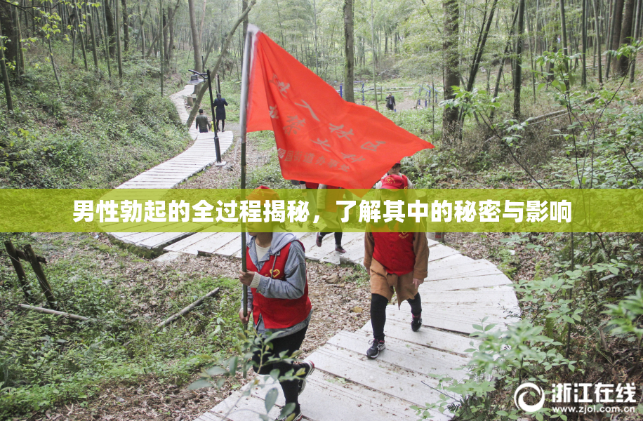 男性勃起的全过程揭秘，了解其中的秘密与影响