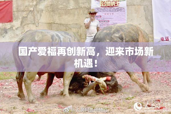 国产爱福再创新高，迎来市场新机遇！