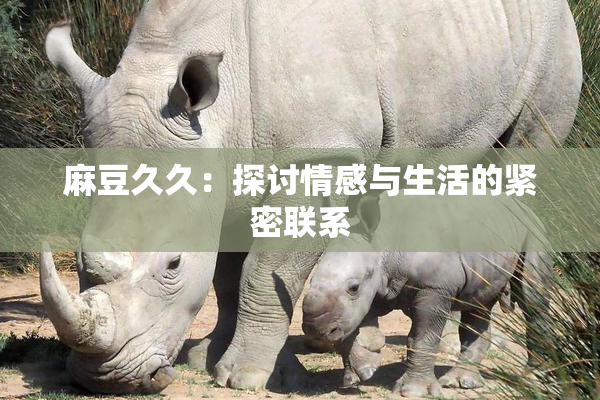 麻豆久久：探讨情感与生活的紧密联系