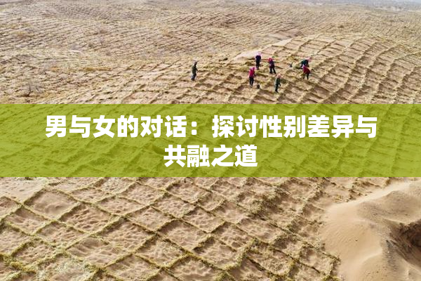 男与女的对话：探讨性别差异与共融之道