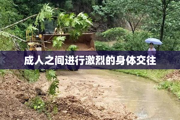 成人之间进行激烈的身体交往