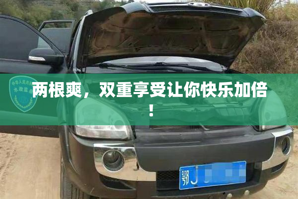 两根爽，双重享受让你快乐加倍！