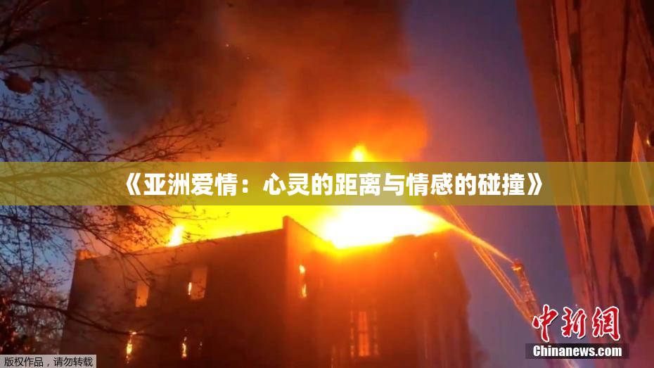 《亚洲爱情：心灵的距离与情感的碰撞》