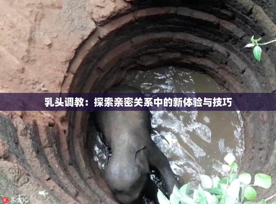 乳头调教：探索亲密关系中的新体验与技巧
