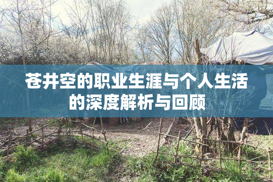苍井空的职业生涯与个人生活的深度解析与回顾
