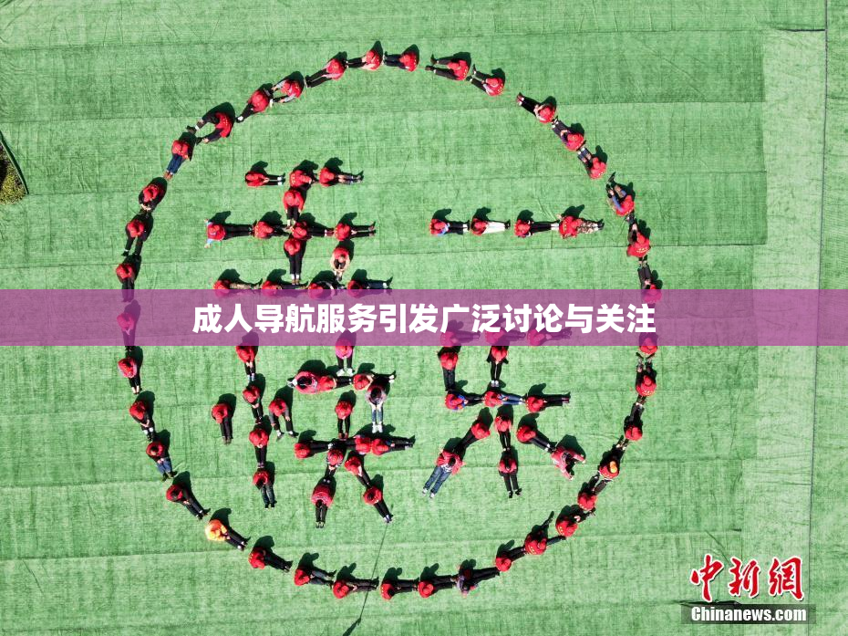 成人导航服务引发广泛讨论与关注