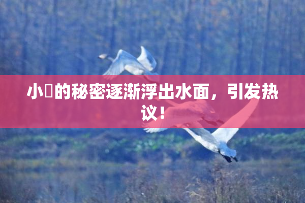 小泬的秘密逐渐浮出水面，引发热议！