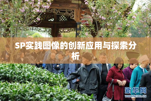 SP实践图像的创新应用与探索分析