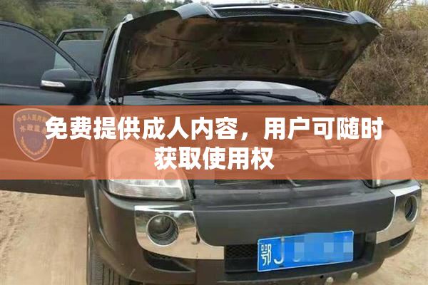 免费提供成人内容，用户可随时获取使用权