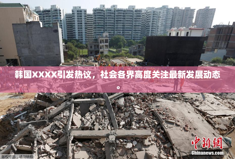 韩国XXXX引发热议，社会各界高度关注最新发展动态。
