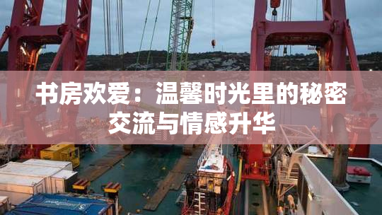 书房欢爱：温馨时光里的秘密交流与情感升华