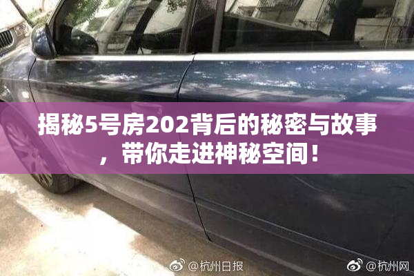 揭秘5号房202背后的秘密与故事，带你走进神秘空间！