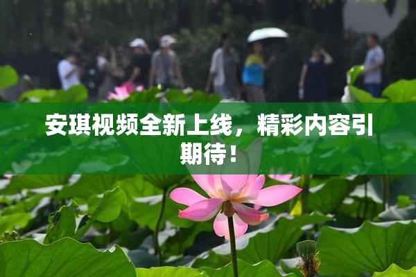 安琪视频全新上线，精彩内容引期待！