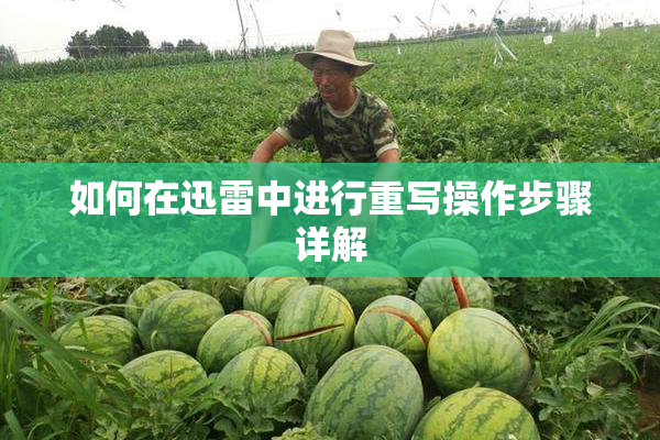 如何在迅雷中进行重写操作步骤详解