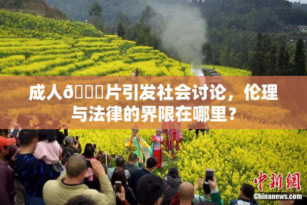 成人🔞片引发社会讨论，伦理与法律的界限在哪里？