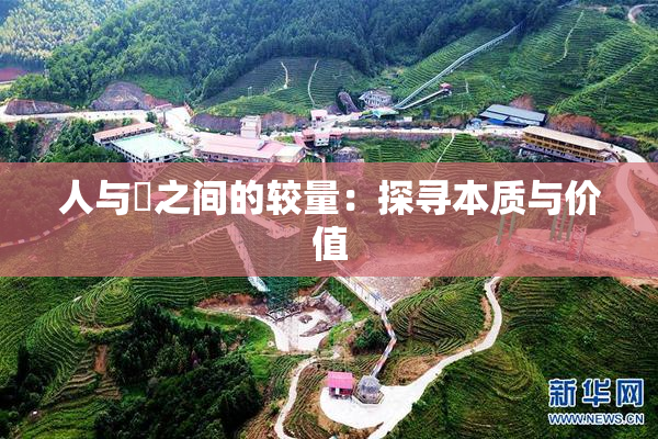 人与嘼之间的较量：探寻本质与价值