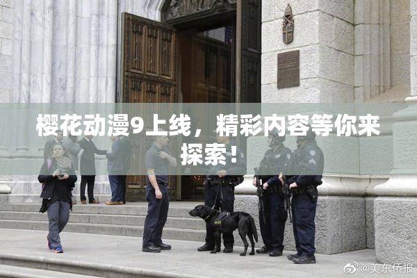 樱花动漫9上线，精彩内容等你来探索！