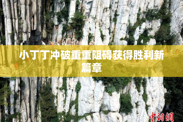 小丁丁冲破重重阻碍获得胜利新篇章