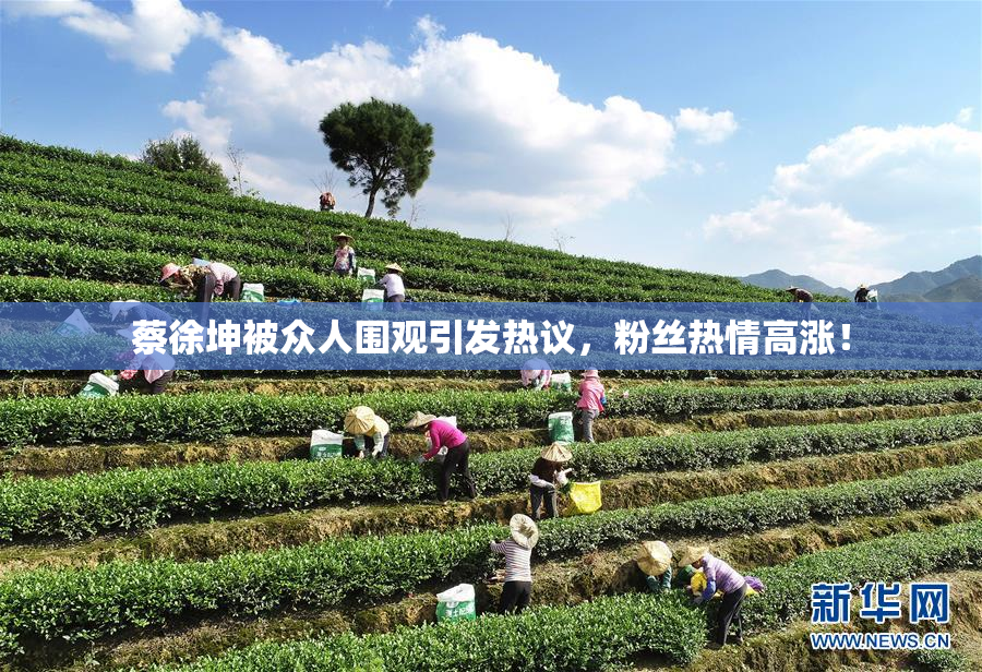 蔡徐坤被众人围观引发热议，粉丝热情高涨！