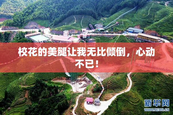 校花的美腿让我无比倾倒，心动不已！