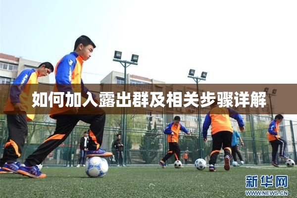 如何加入露出群及相关步骤详解