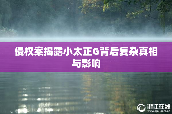 侵权案揭露小太正G背后复杂真相与影响
