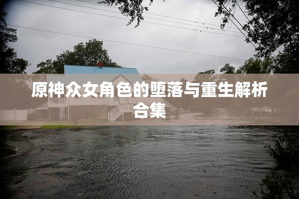 原神众女角色的堕落与重生解析合集