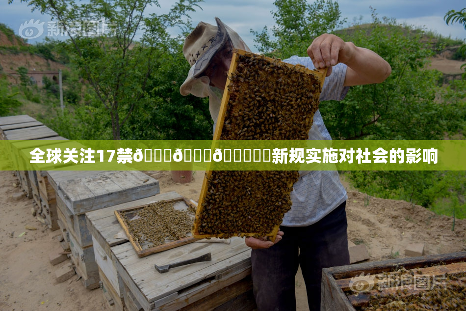 全球关注17禁🍆🍑🔞❌‌新规实施对社会的影响