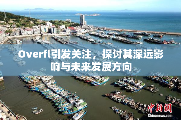 Overfl引发关注，探讨其深远影响与未来发展方向