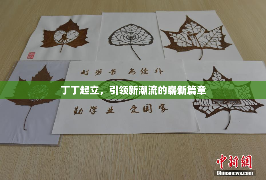 丁丁起立，引领新潮流的崭新篇章