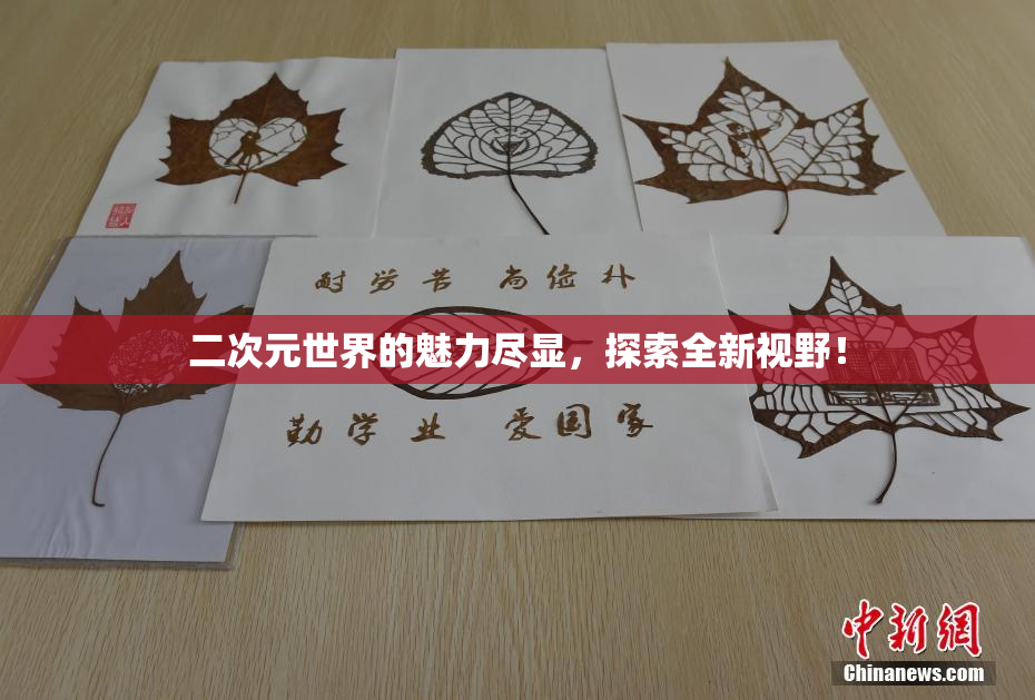 二次元世界的魅力尽显，探索全新视野！