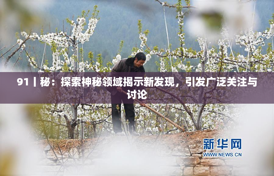 91丨秘：探索神秘领域揭示新发现，引发广泛关注与讨论
