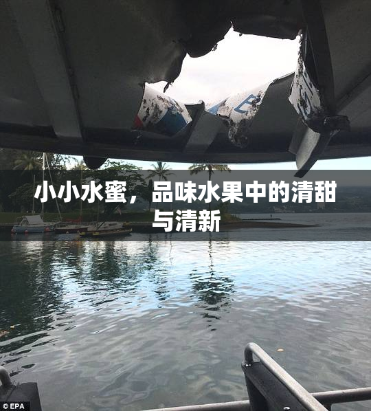 小小水蜜，品味水果中的清甜与清新