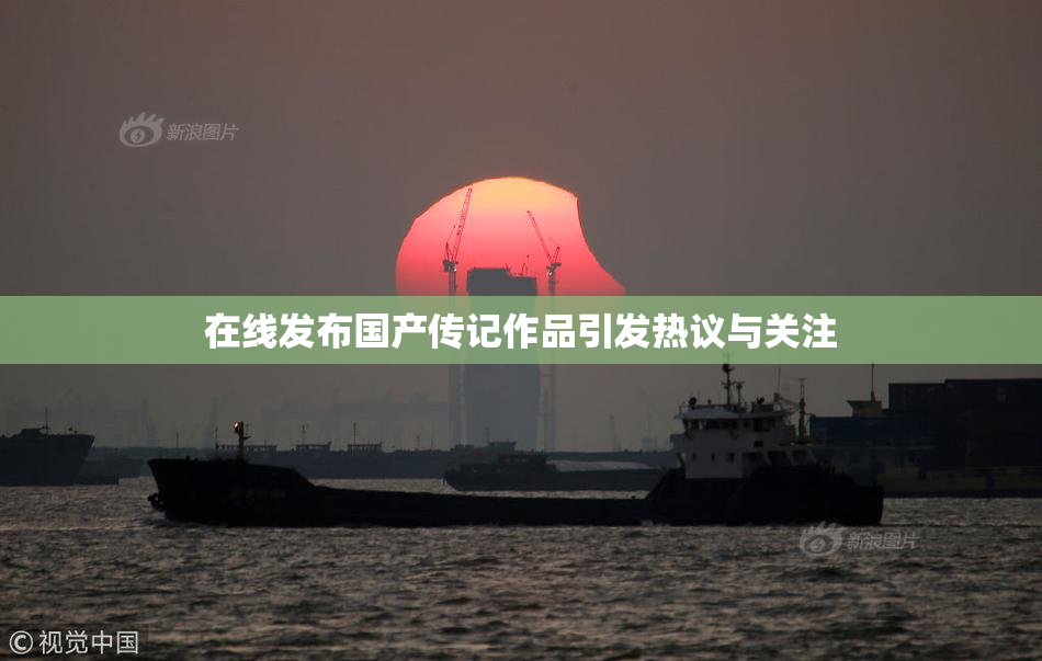 在线发布国产传记作品引发热议与关注