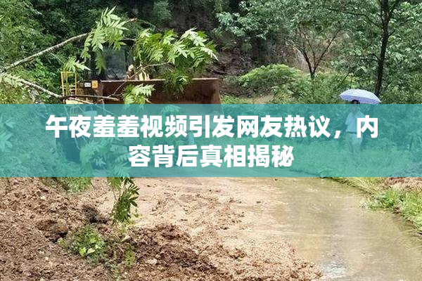 午夜羞羞视频引发网友热议，内容背后真相揭秘