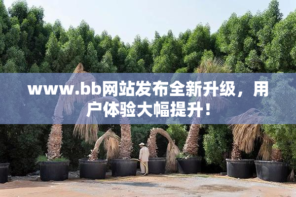 www.bb网站发布全新升级，用户体验大幅提升！