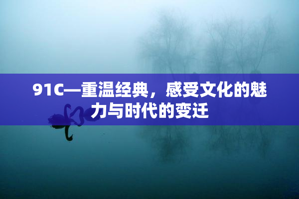 91C—重温经典，感受文化的魅力与时代的变迁