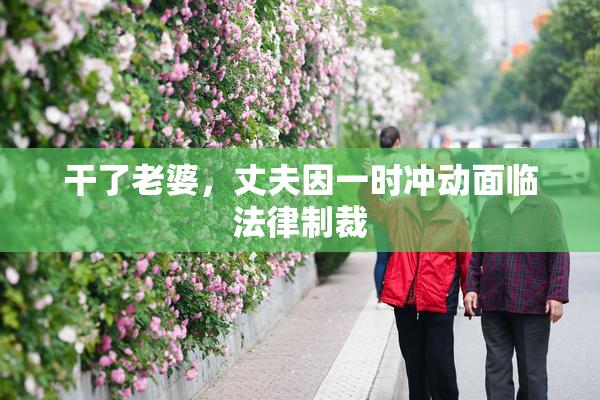 干了老婆，丈夫因一时冲动面临法律制裁