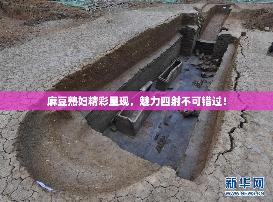 麻豆熟妇精彩呈现，魅力四射不可错过！