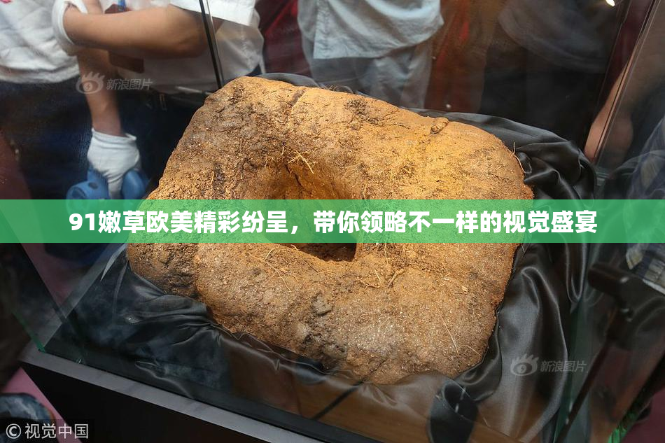 91嫩草欧美精彩纷呈，带你领略不一样的视觉盛宴
