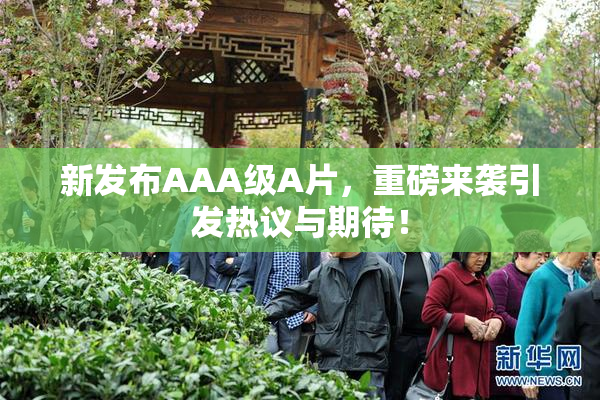 新发布AAA级A片，重磅来袭引发热议与期待！
