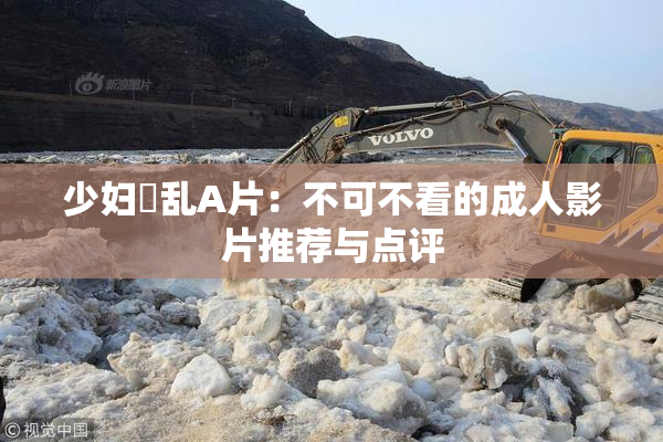 少妇婬乱A片：不可不看的成人影片推荐与点评