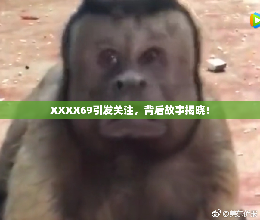 XXXX69引发关注，背后故事揭晓！