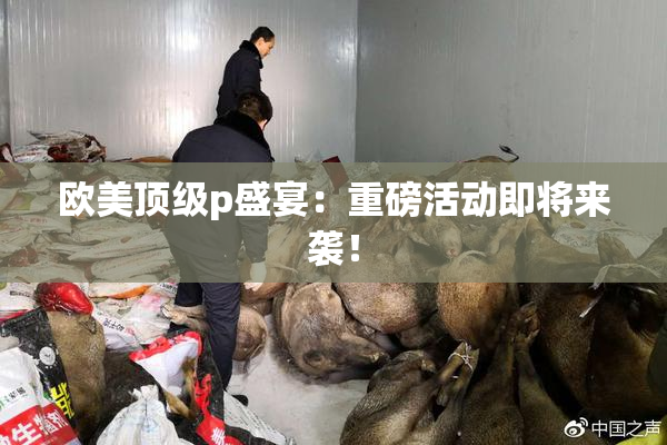 欧美顶级p盛宴：重磅活动即将来袭！