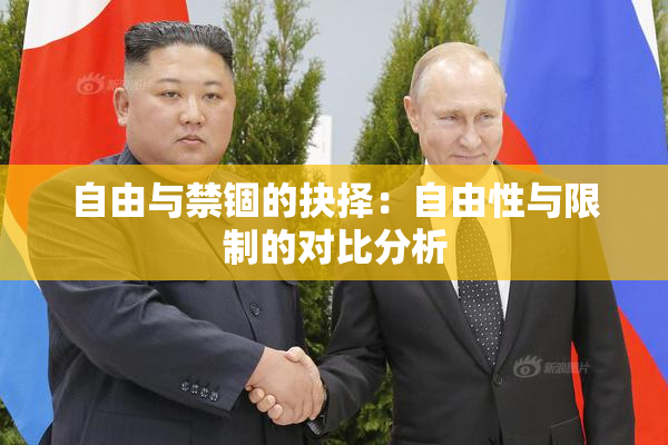 自由与禁锢的抉择：自由性与限制的对比分析