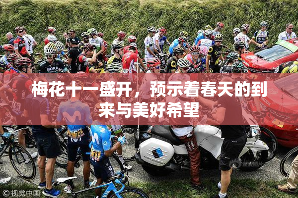 梅花十一盛开，预示着春天的到来与美好希望