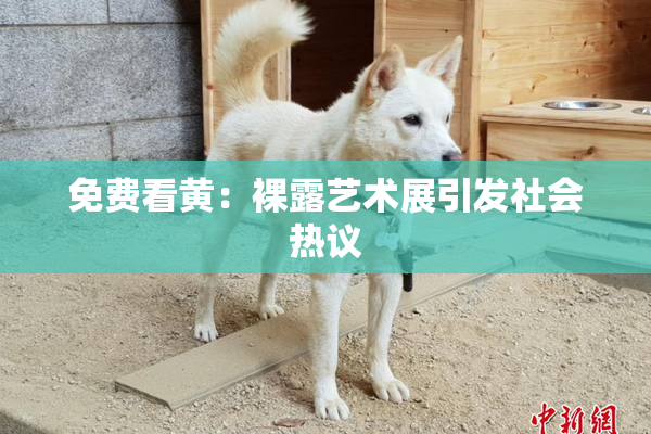 免费看黄：裸露艺术展引发社会热议