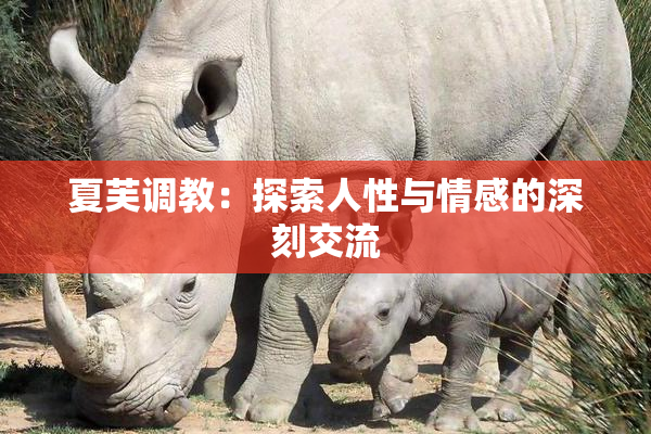 夏芙调教：探索人性与情感的深刻交流
