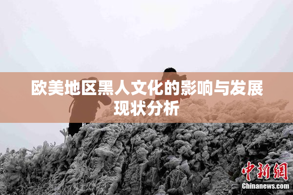 欧美地区黑人文化的影响与发展现状分析