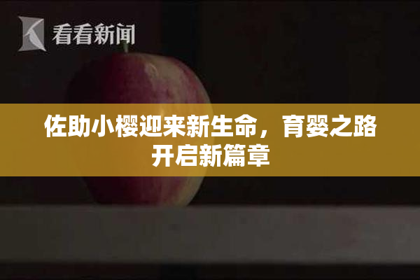 佐助小樱迎来新生命，育婴之路开启新篇章